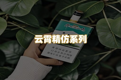 云霄精仿系列